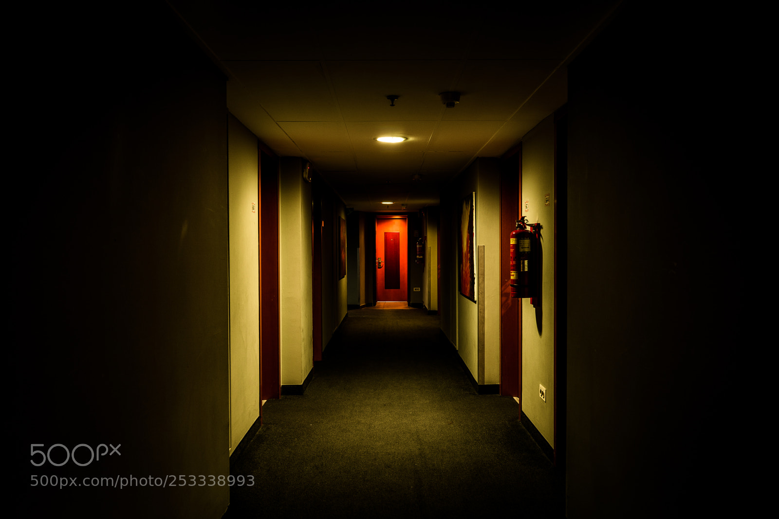Nikon D5200 sample photo. Untitled photography