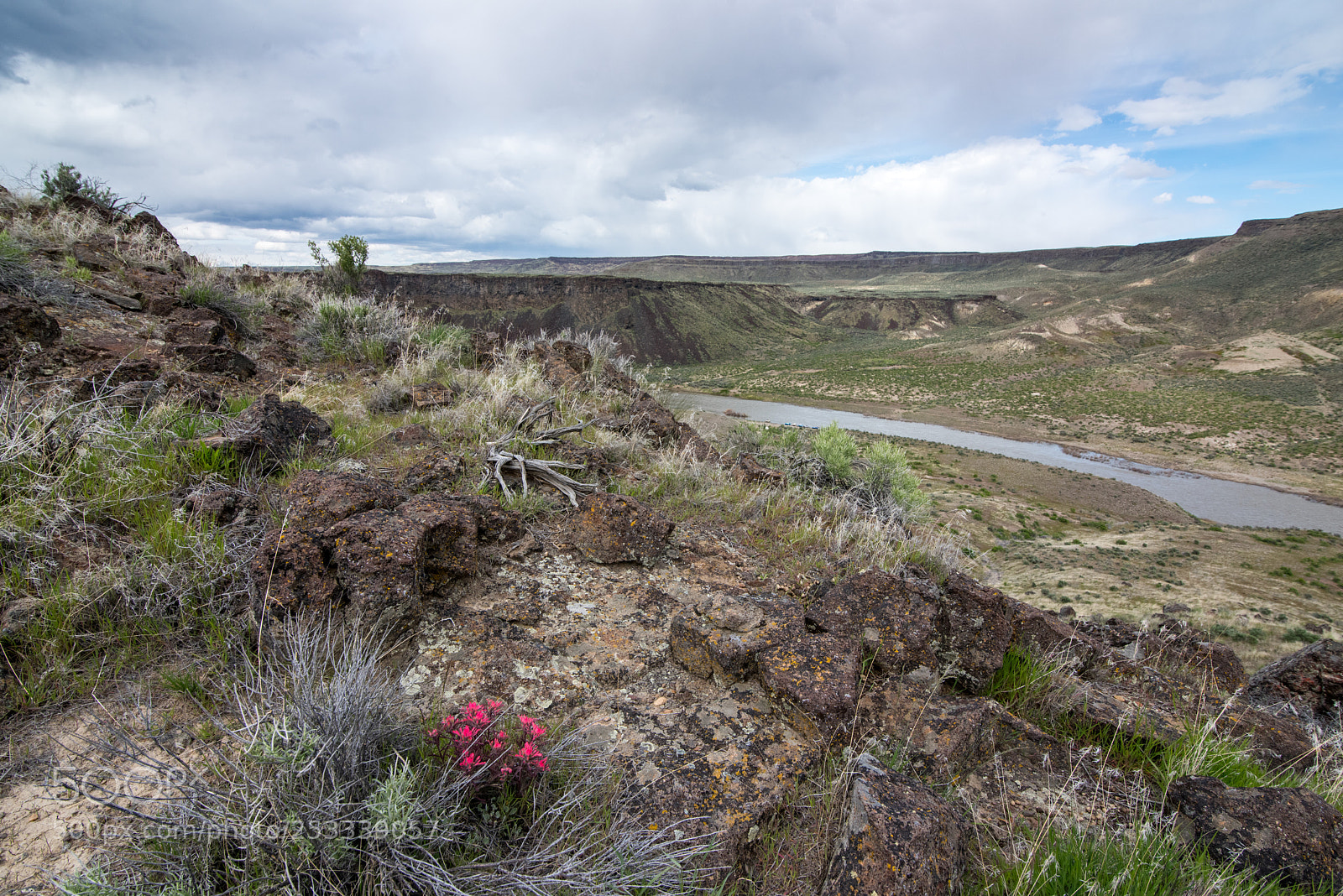 Nikon D810 sample photo. Owyhee river spring photography