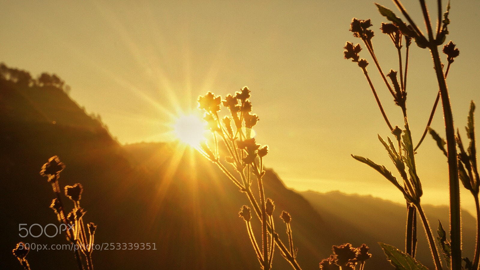 Sony a6000 sample photo. New hope photography