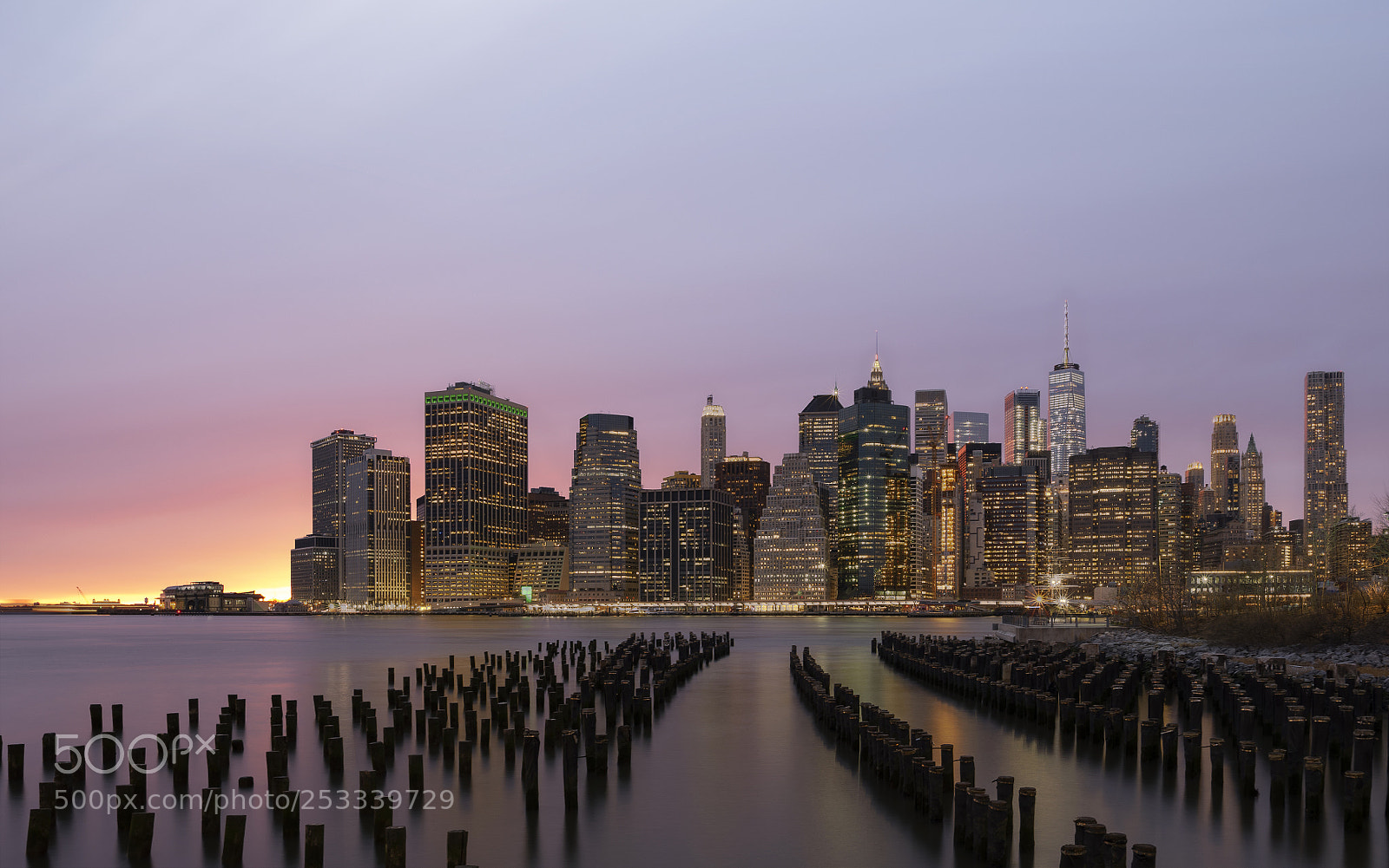 Nikon D750 sample photo. New york city skyline photography