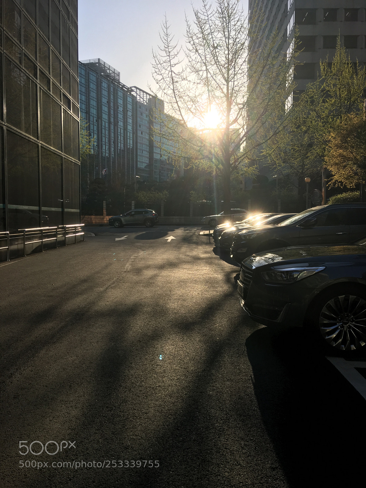 Apple iPhone 6s Plus sample photo. Untitled photography