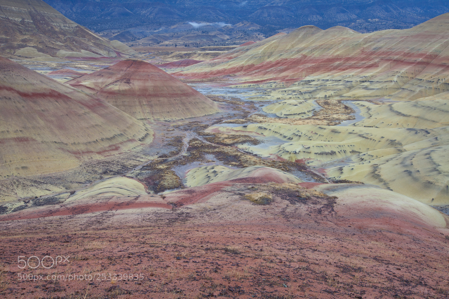 Canon EOS 5D Mark II sample photo. Painted hills photography