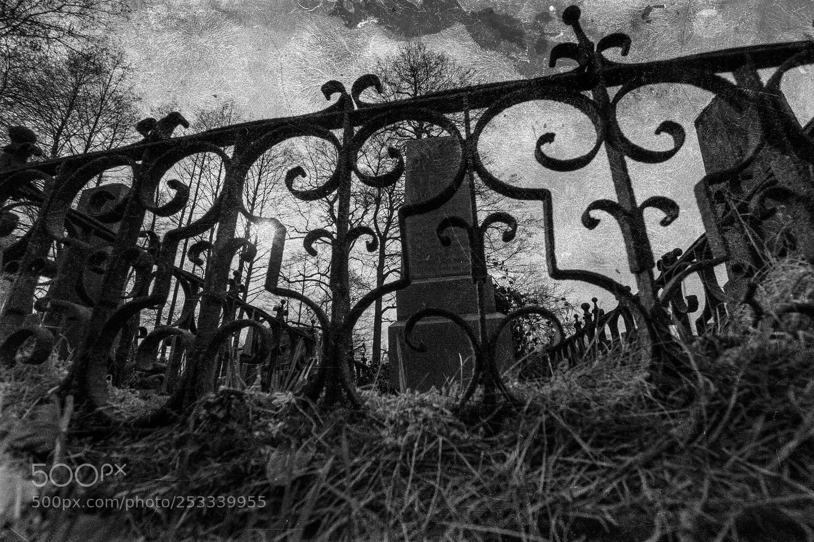 Nikon D5500 sample photo. ..grave.. photography
