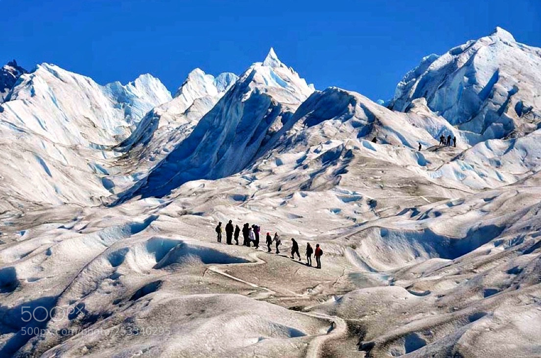 Nikon D7000 sample photo. Glacier walk photography