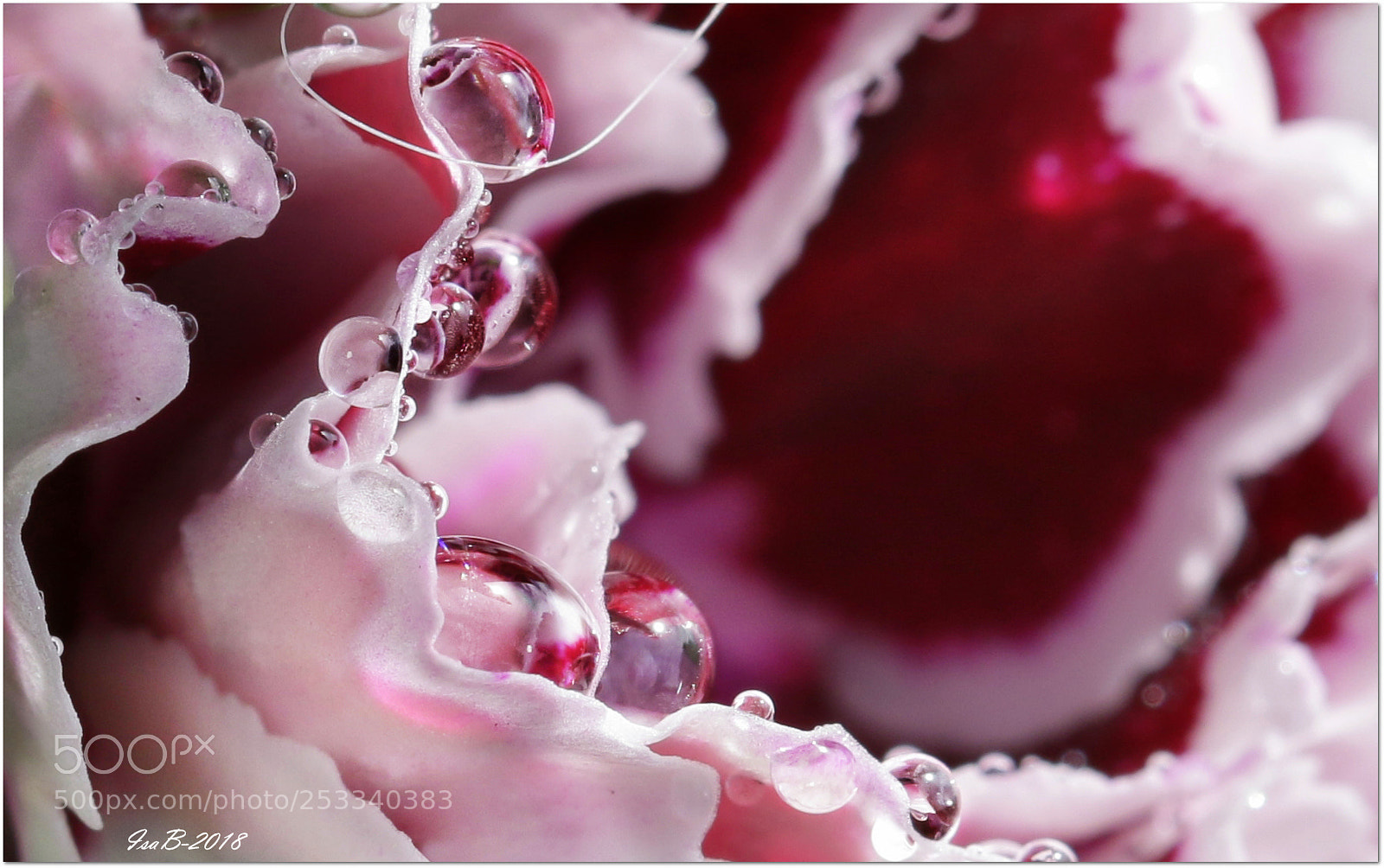 Canon EOS 70D sample photo. Untitled photography
