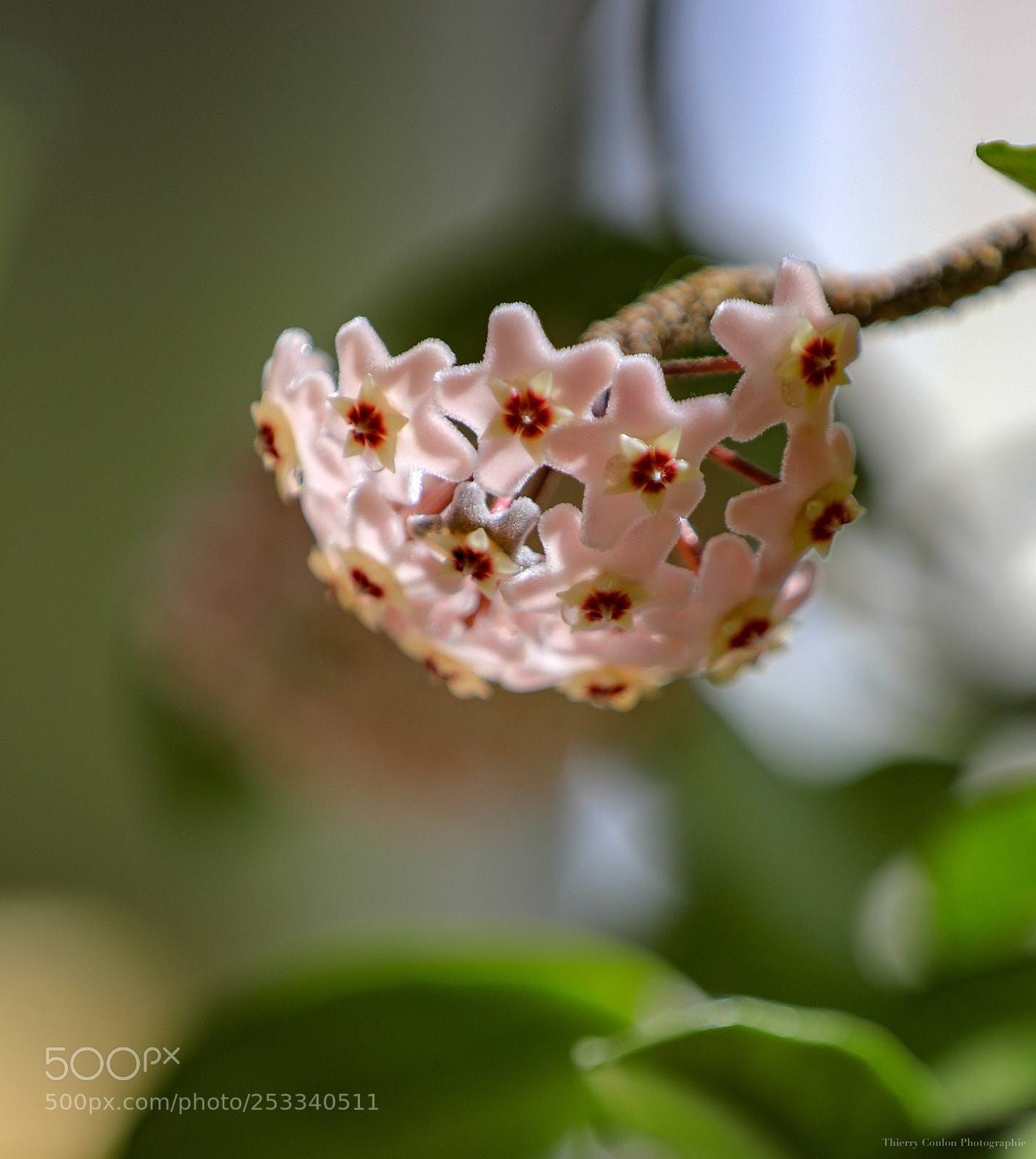 Canon EOS 5D Mark IV sample photo. Untitled photography