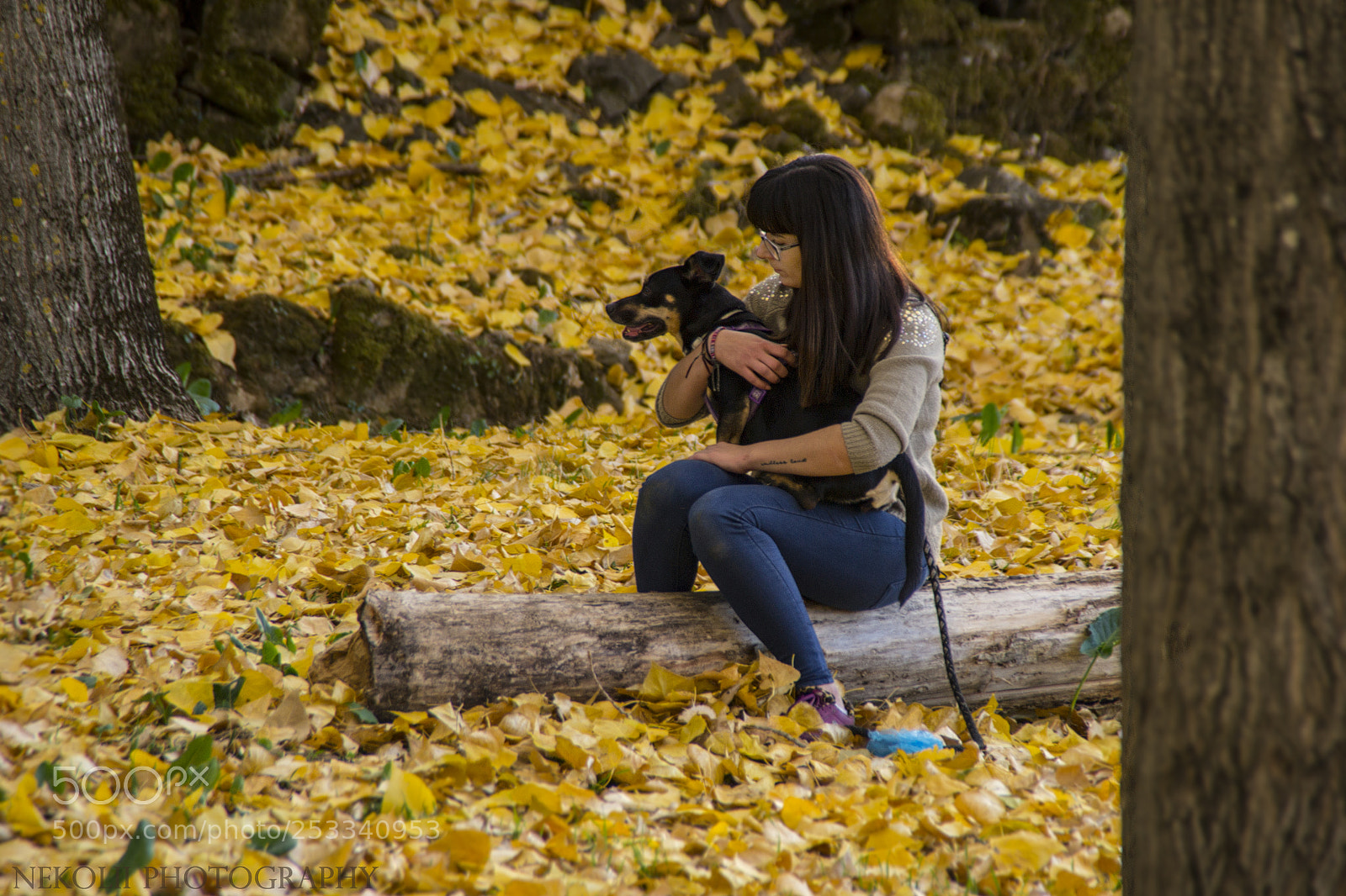 Nikon D3100 sample photo. Untitled photography