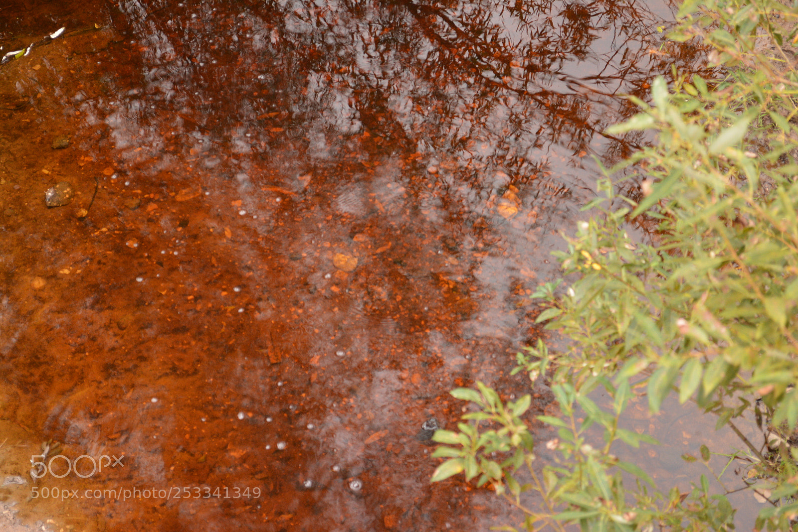 Nikon D5200 sample photo. Untitled photography