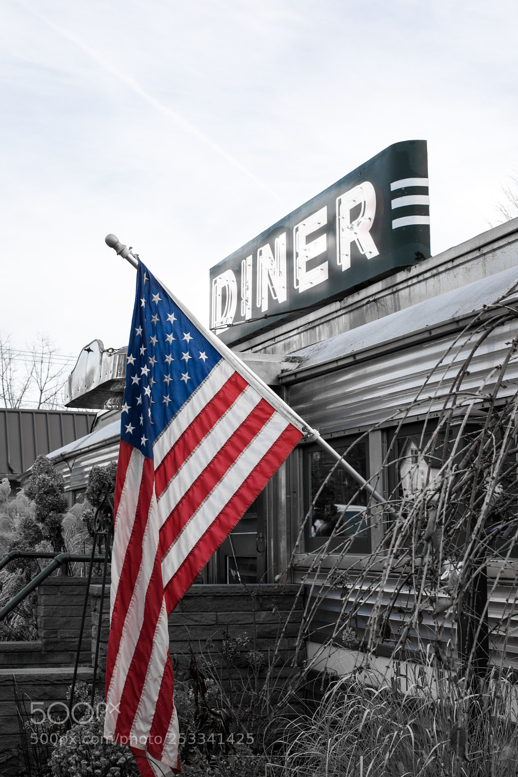 Canon EOS 5D Mark IV sample photo. 'merica photography