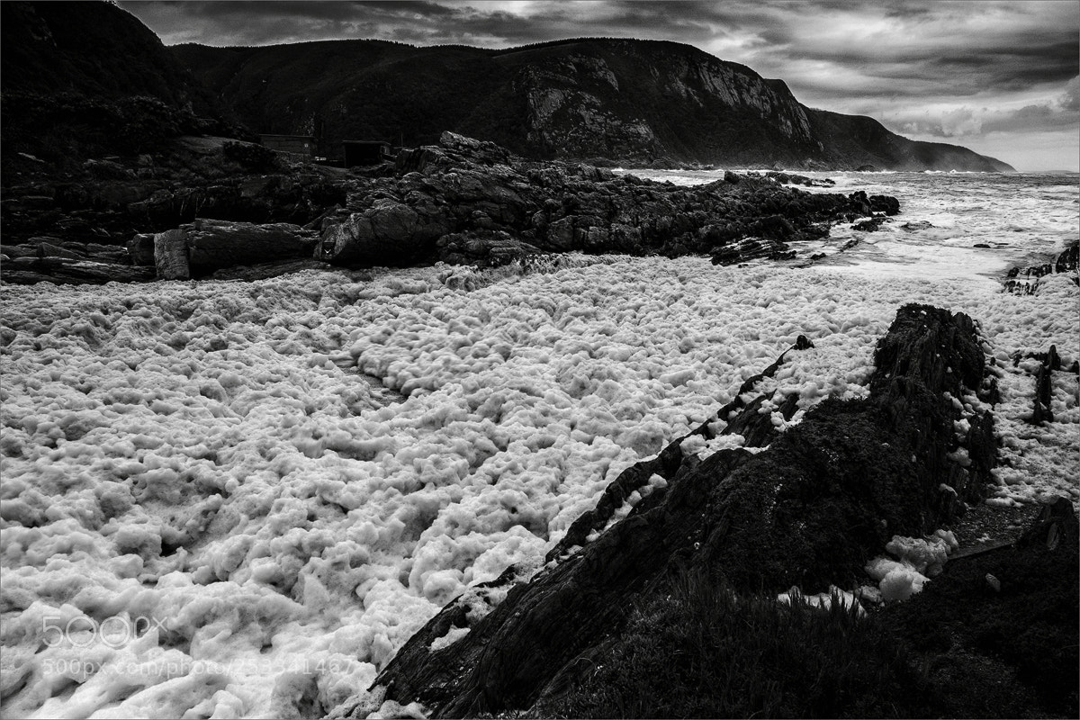 Sony a6000 sample photo. Tsitsikamma national parc iii photography