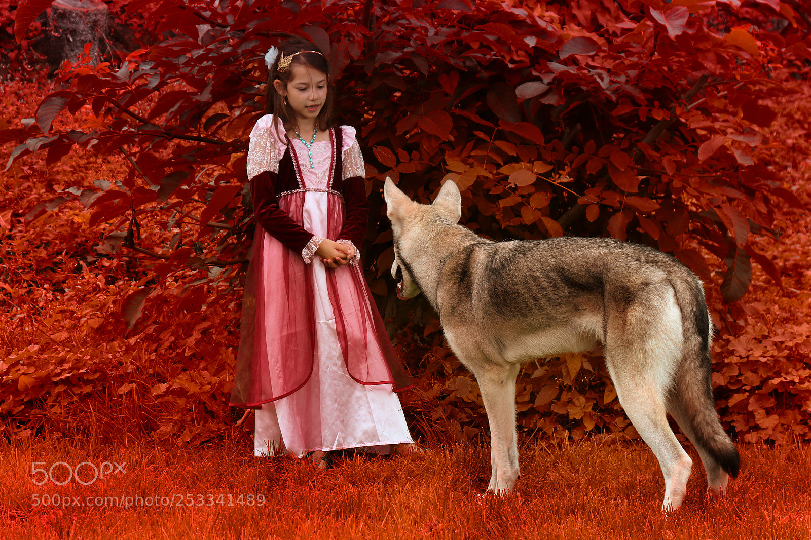 Canon EOS 7D Mark II sample photo. Wolfprincess 19 photography