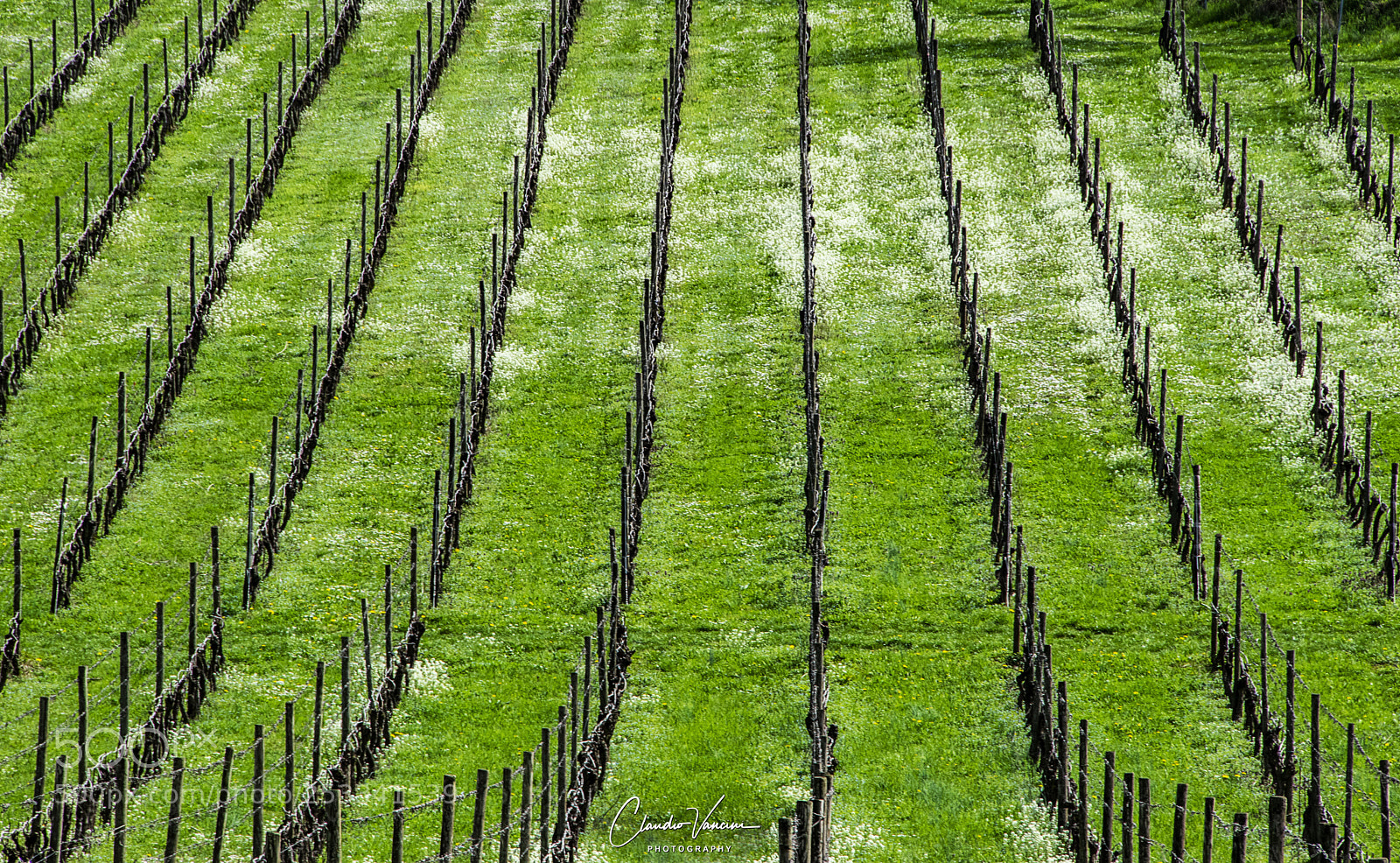 Nikon D5600 sample photo. Geometric landscape photography