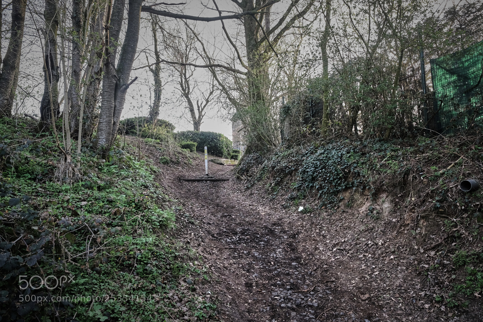 Fujifilm X70 sample photo. Malteni // roubaix photography