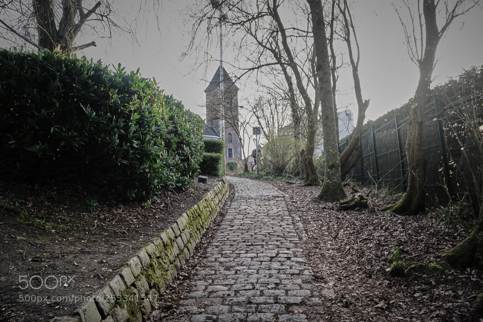 Fujifilm X70 sample photo. Malteni // roubaix photography