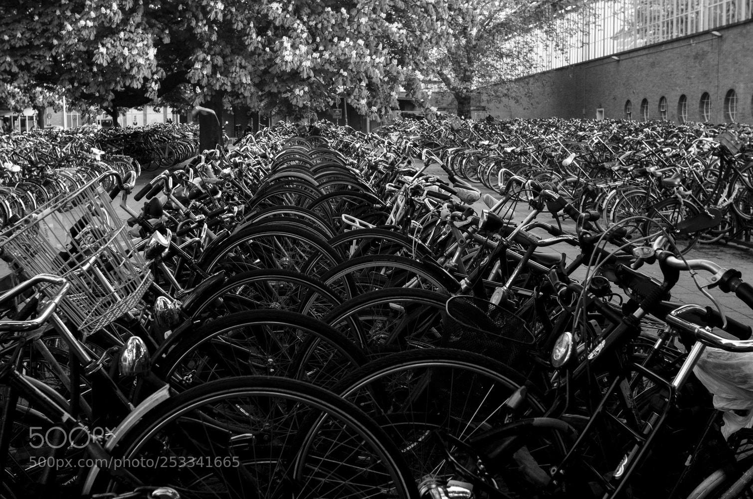 Nikon D7000 sample photo. Amsterdam is a city photography