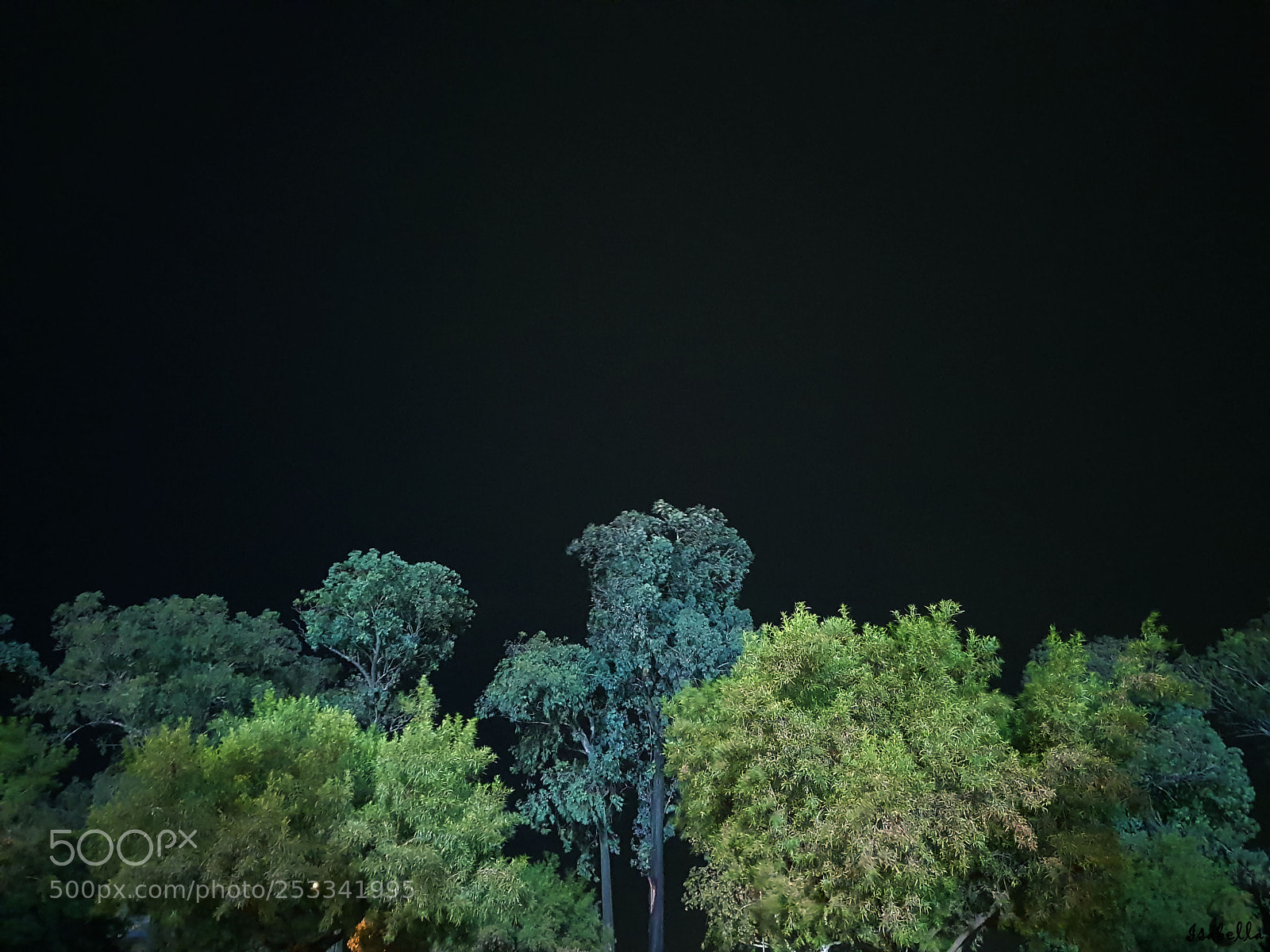 Samsung Galaxy S8+ sample photo. City nature photography