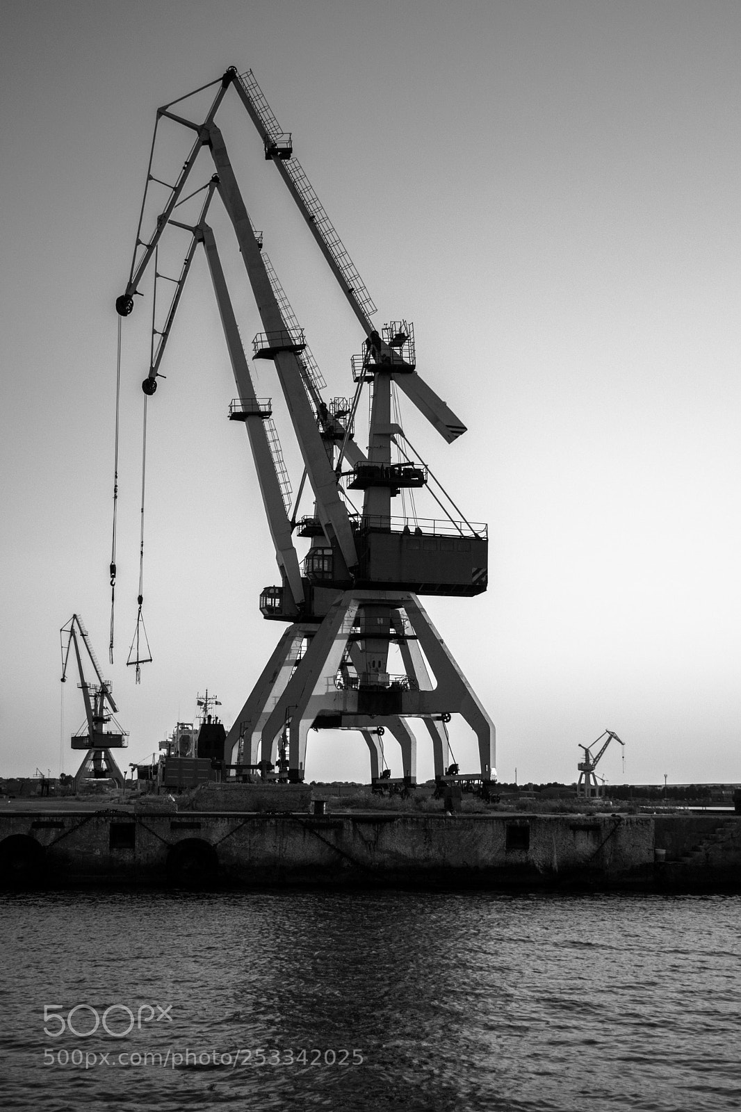 Nikon D3300 sample photo. Cranes photography