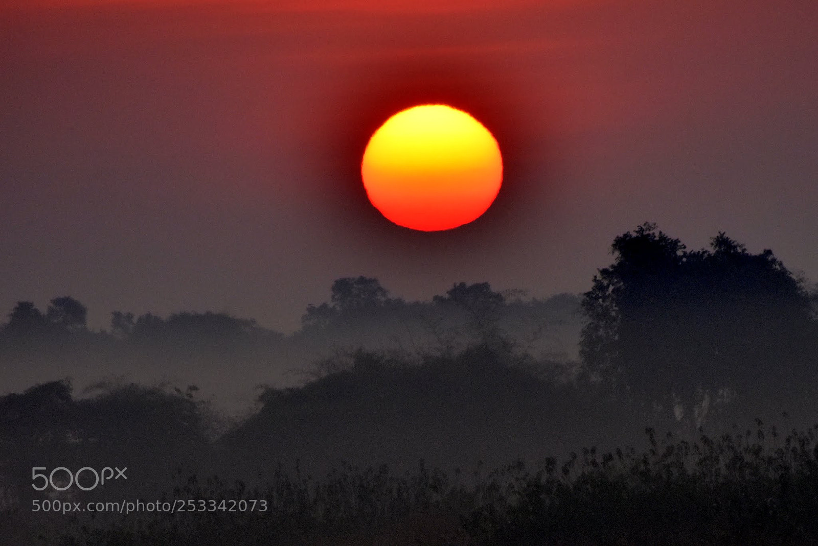 Nikon D7200 sample photo. Sun photography