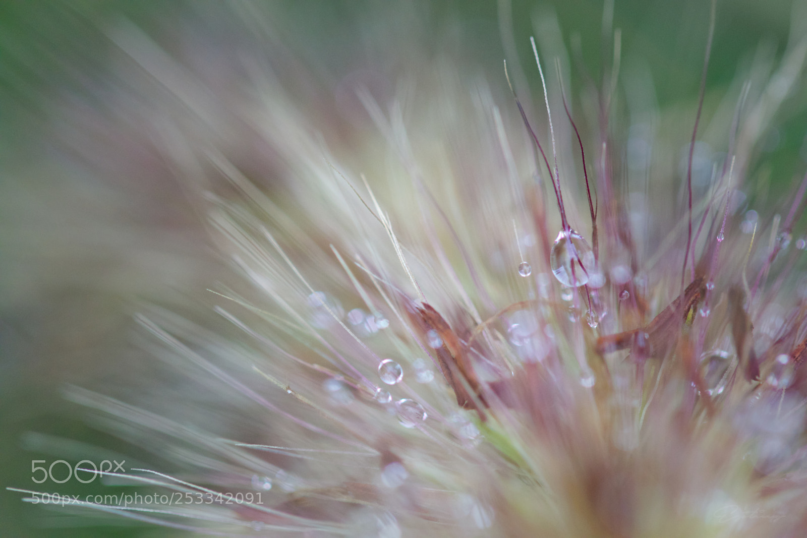 Canon EOS 70D sample photo. Water photography