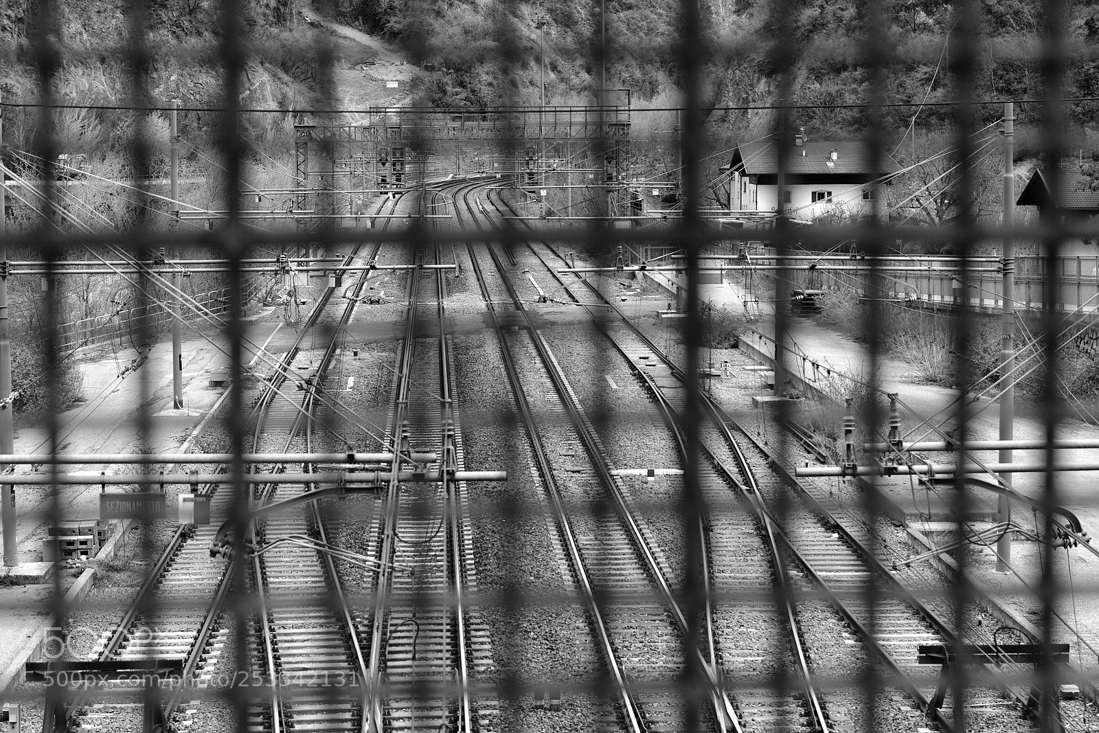 Nikon D7100 sample photo. Through... photography