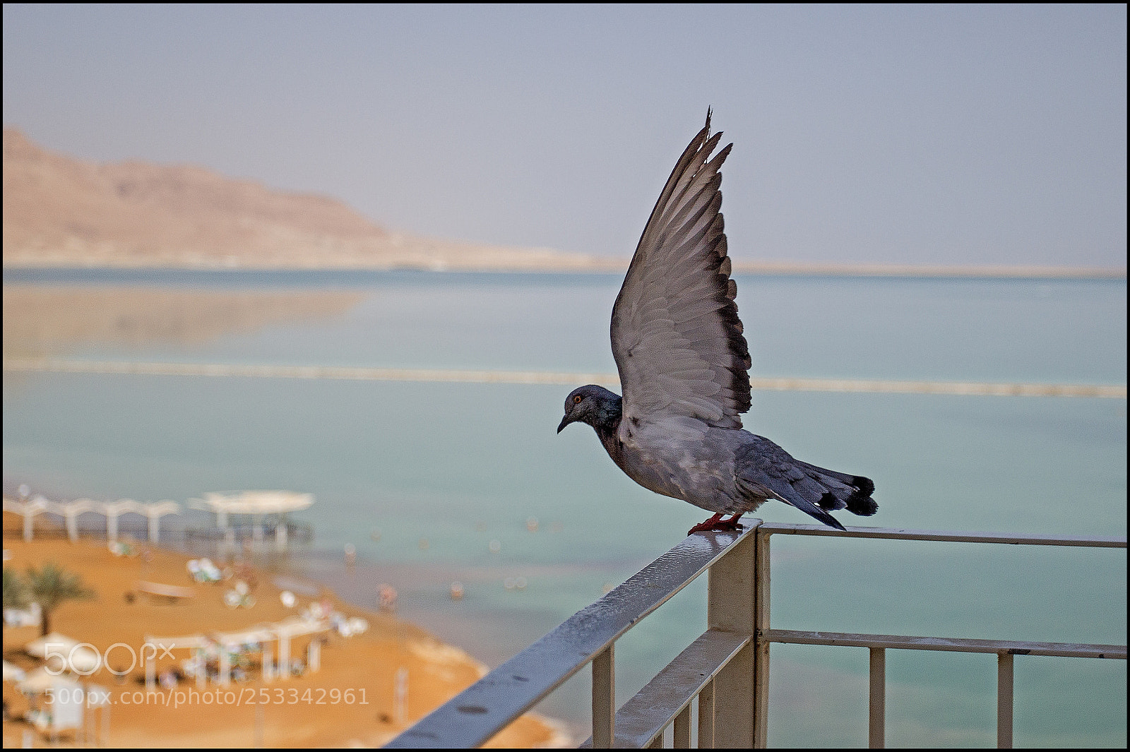 Canon EOS 550D (EOS Rebel T2i / EOS Kiss X4) sample photo. Morning exercises. photography