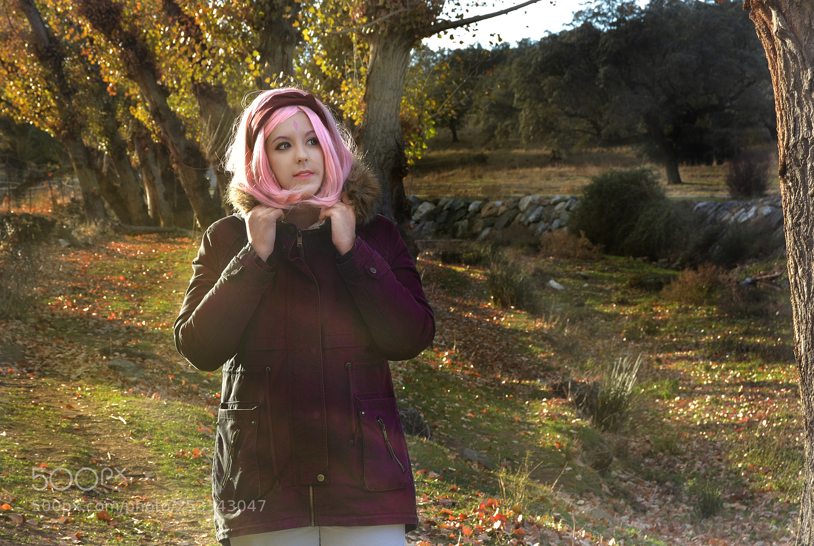 Nikon D3100 sample photo. Sakura haruno photography