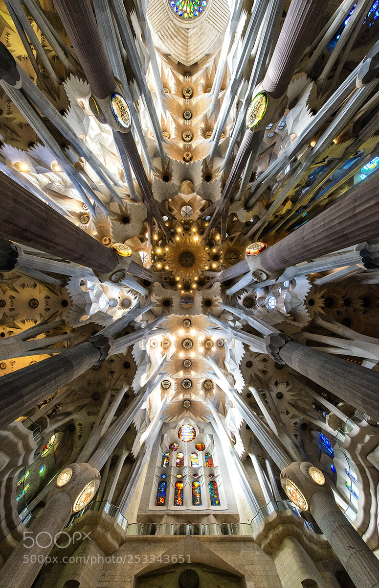Nikon D800 sample photo. Sagrada familia photography