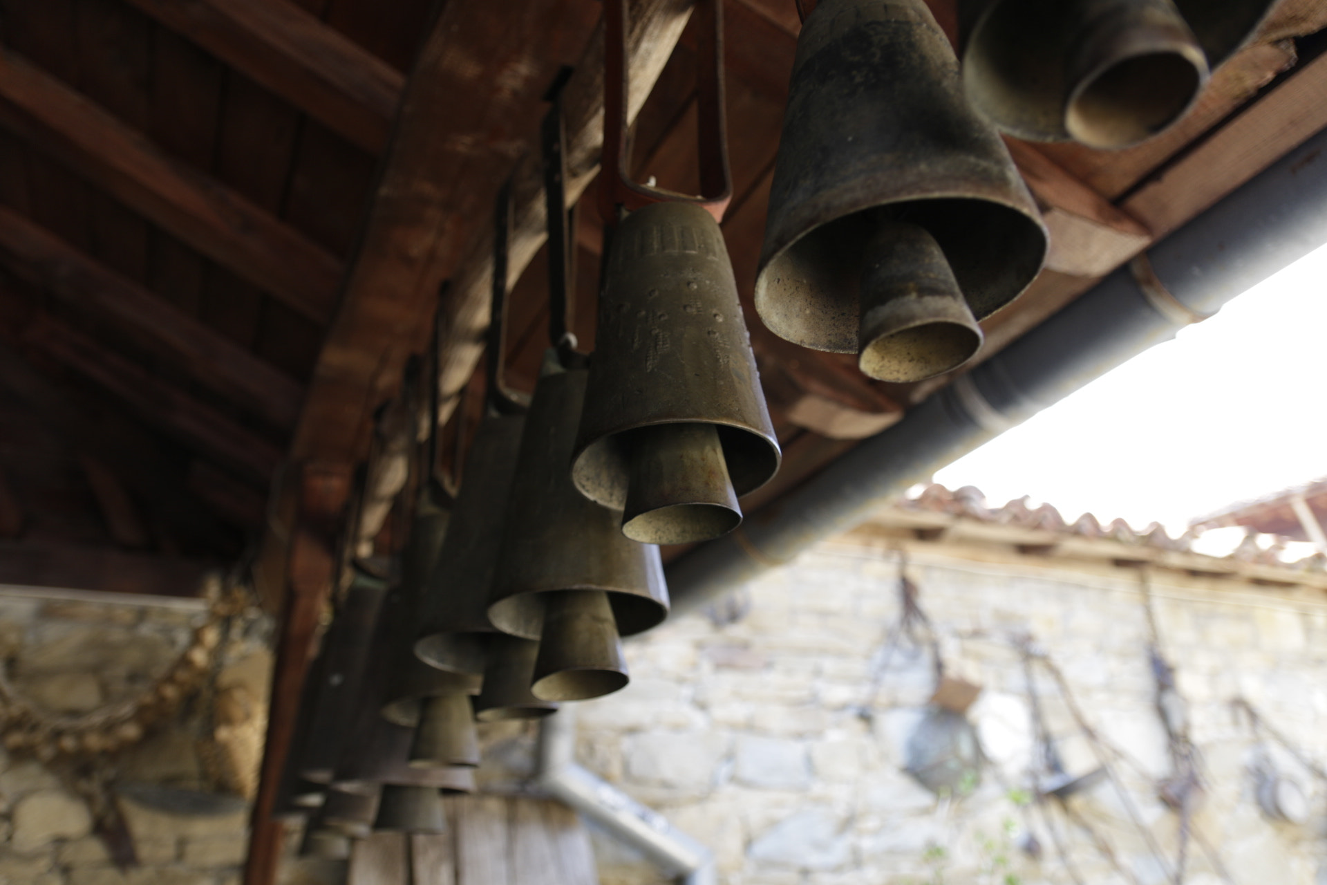 Canon EOS 70D + Canon EF-S 17-55mm F2.8 IS USM sample photo. Bells photography