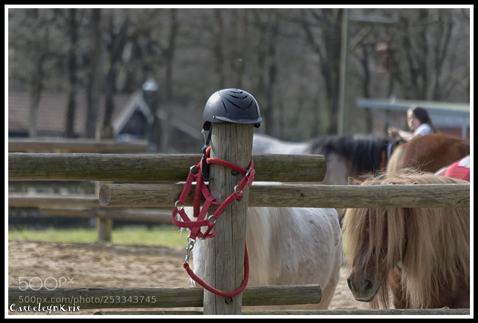 Nikon D3200 sample photo. Tokken photography