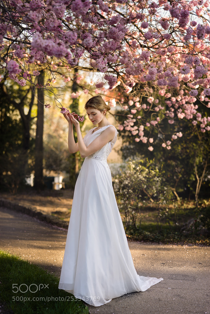 Sony a7 II sample photo. Morning light photography