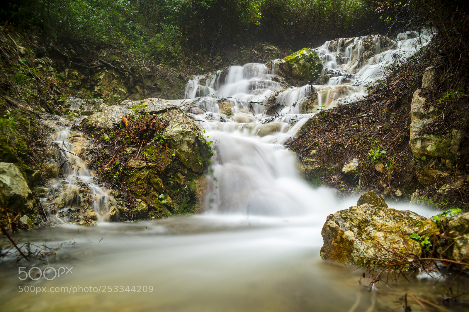 Nikon D810 sample photo. After rain photography