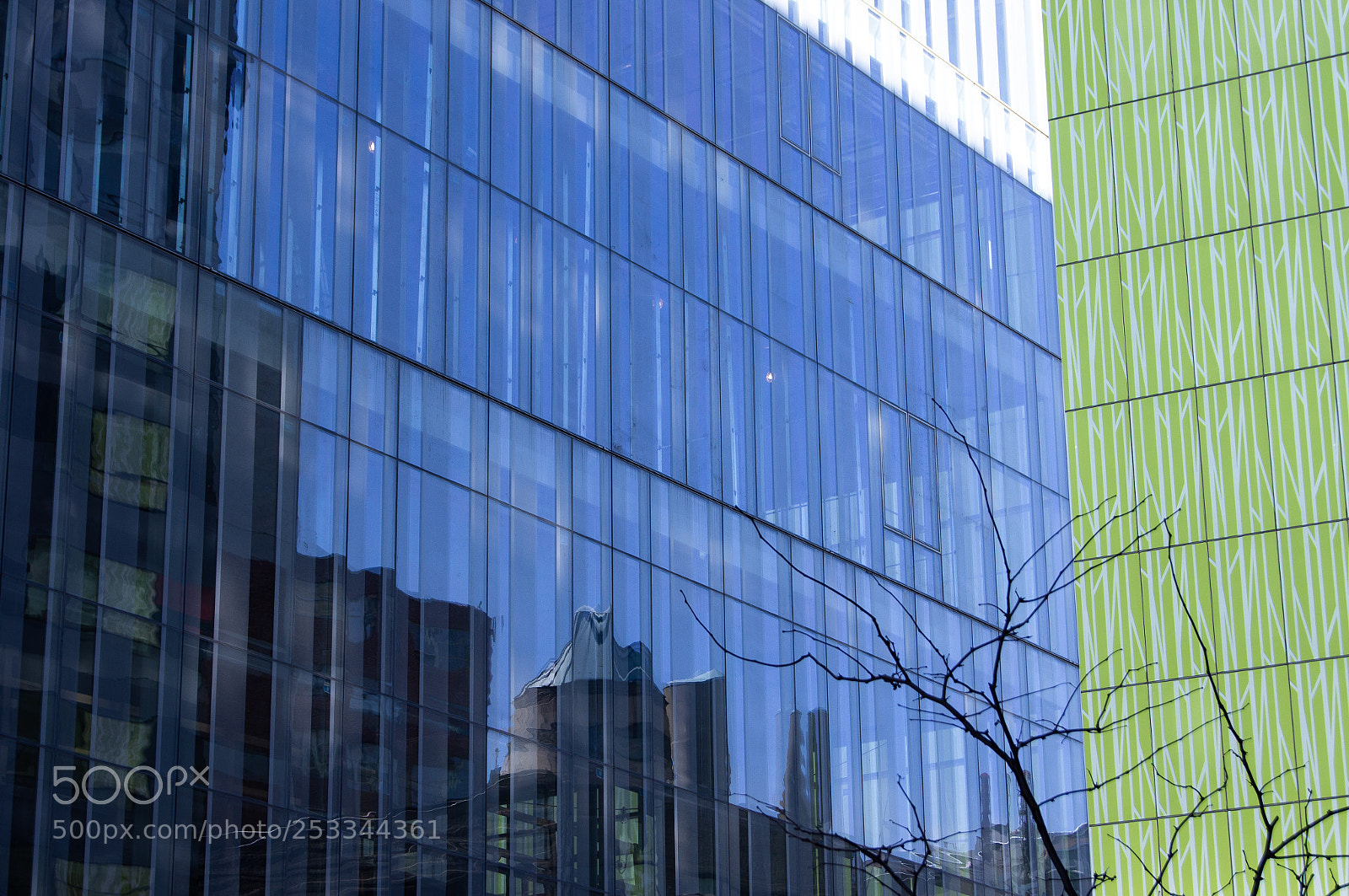Sony SLT-A55 (SLT-A55V) sample photo. Building reflections & nature photography