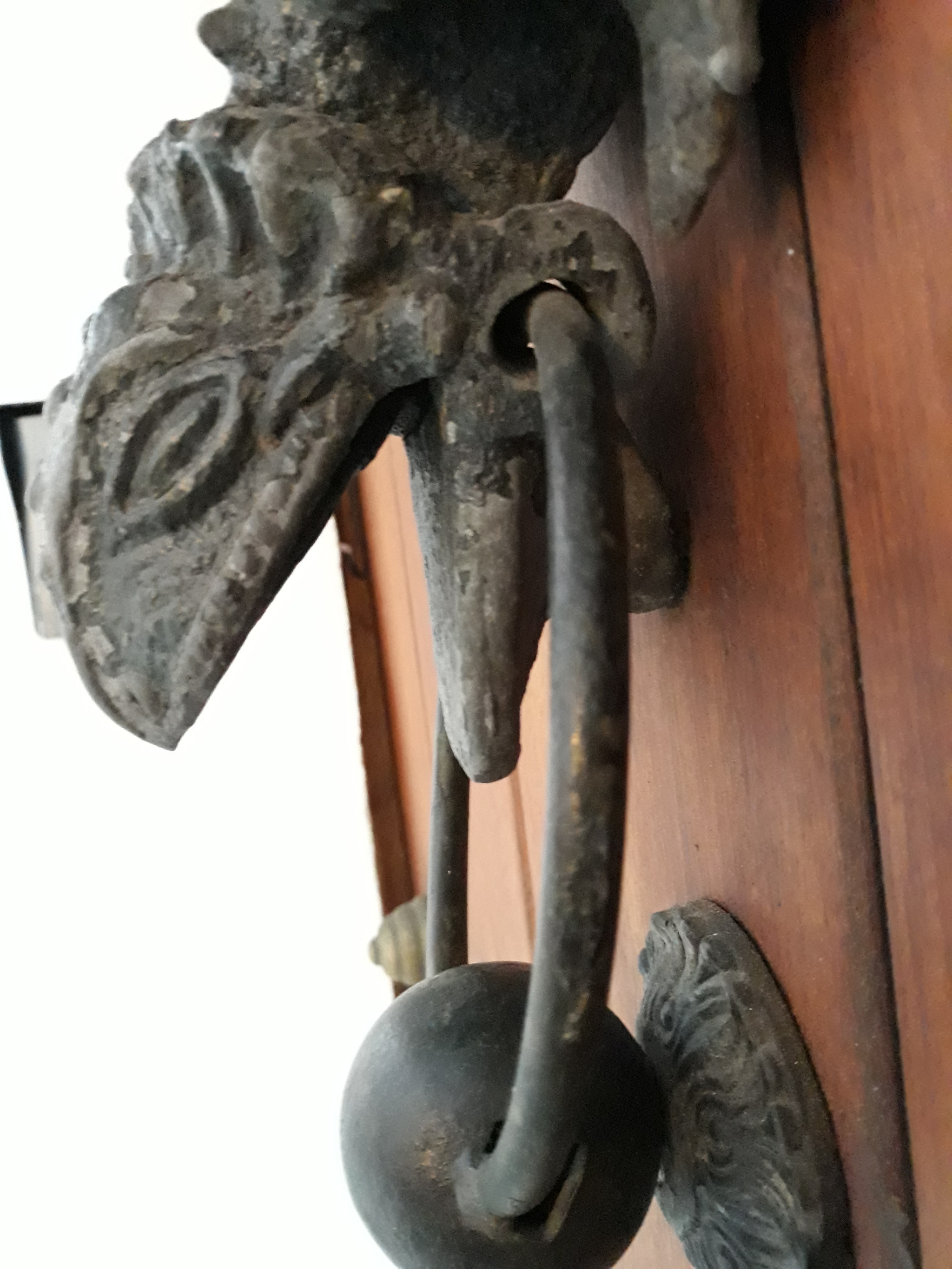 Samsung Galaxy J5 Pro sample photo