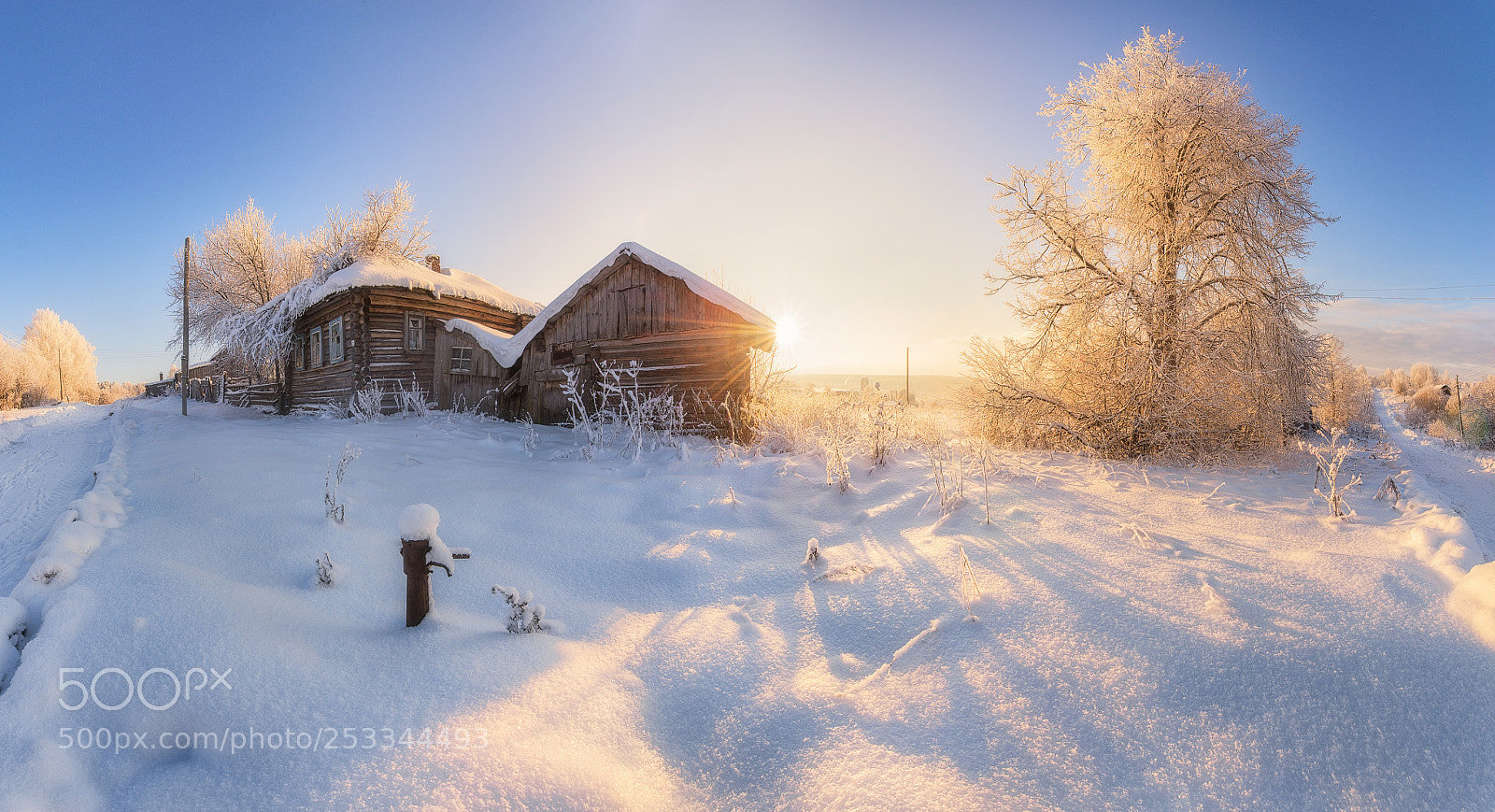Nikon D610 sample photo. 897. winter in the photography