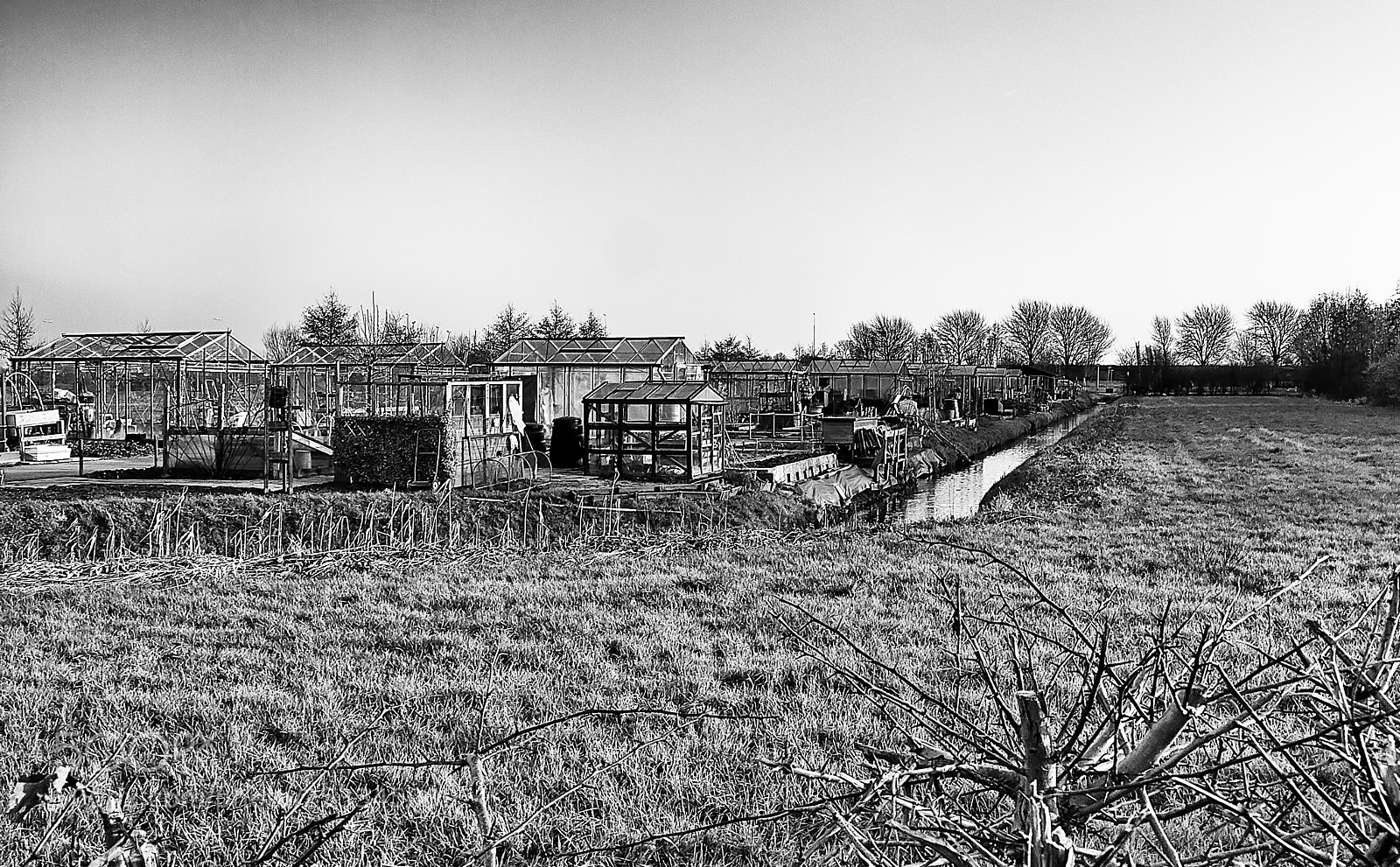 Olympus E-510 (EVOLT E-510) sample photo. Beyond the brambles #2 photography