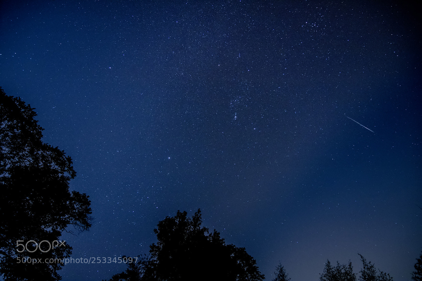 Canon EOS 760D (EOS Rebel T6s / EOS 8000D) sample photo. Counting stars photography