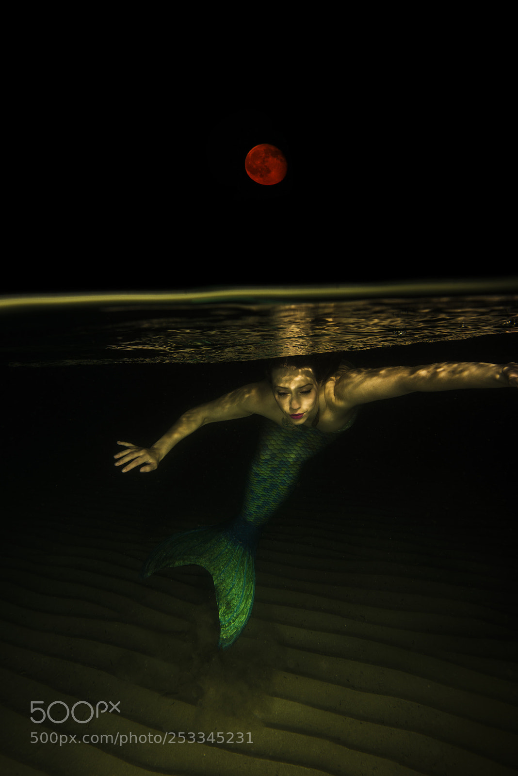 Nikon D800E sample photo. Mermaid in the moon photography