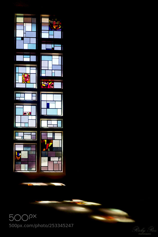 Olympus OM-D E-M1 Mark II sample photo. Windows photography