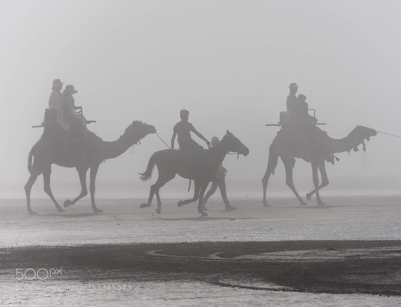 Nikon D7200 sample photo. Lucky shot ?!  photography