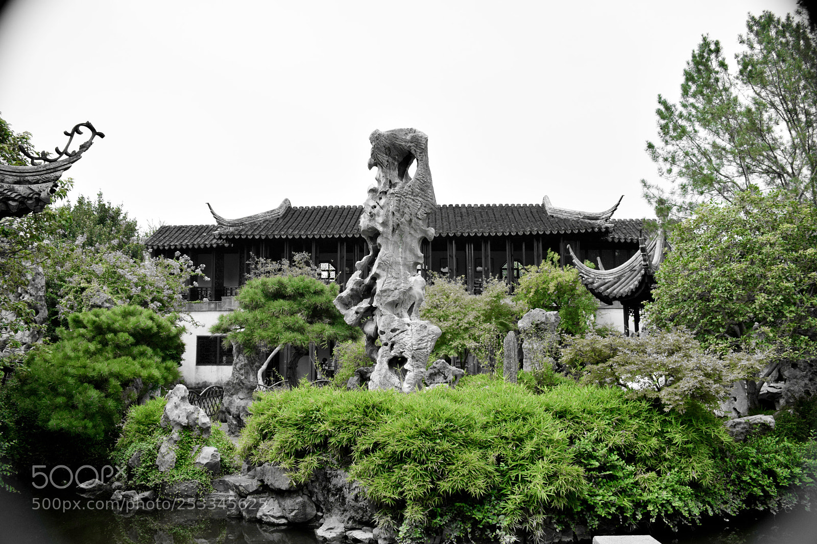 Nikon D5300 sample photo. Untitled photography