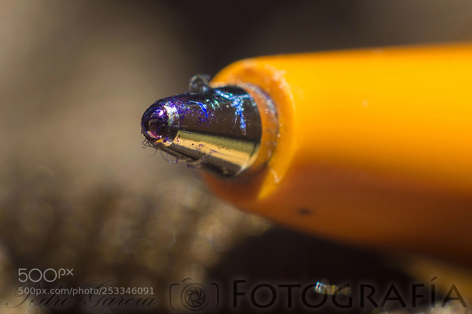 Nikon D3100 sample photo. Pen photography