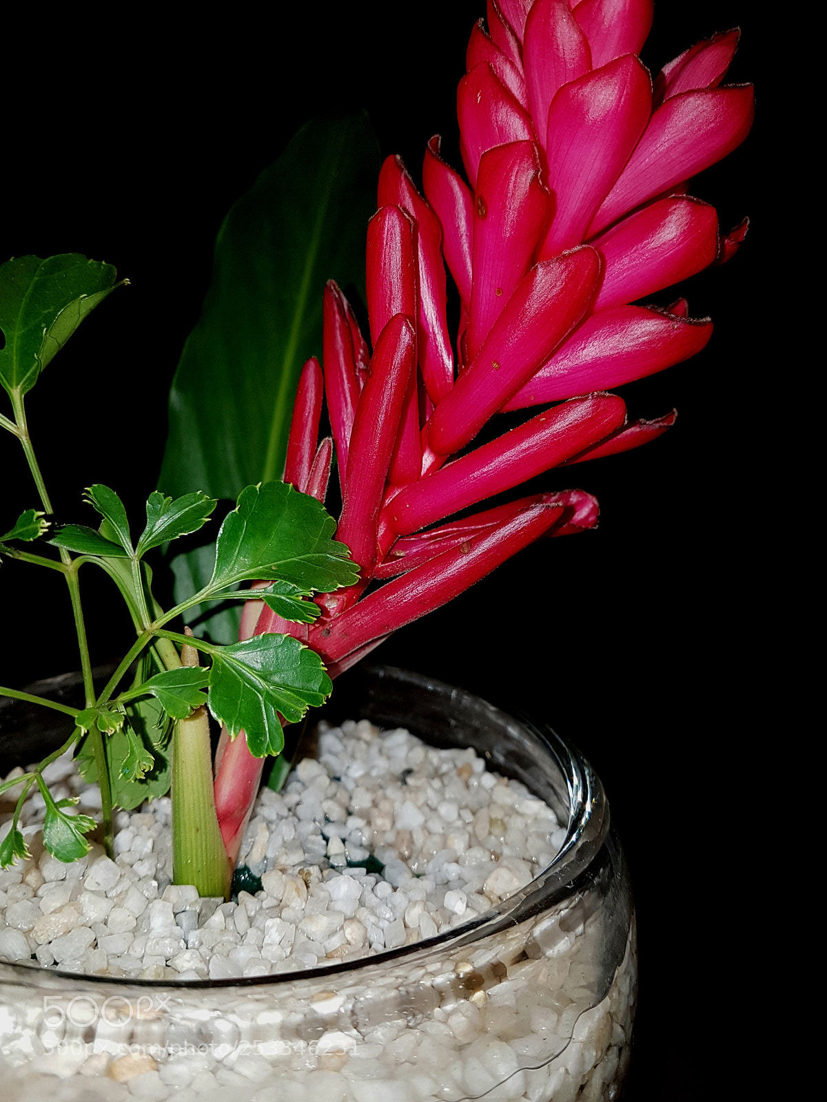 Samsung Galaxy S7 Edge sample photo. Untitled photography