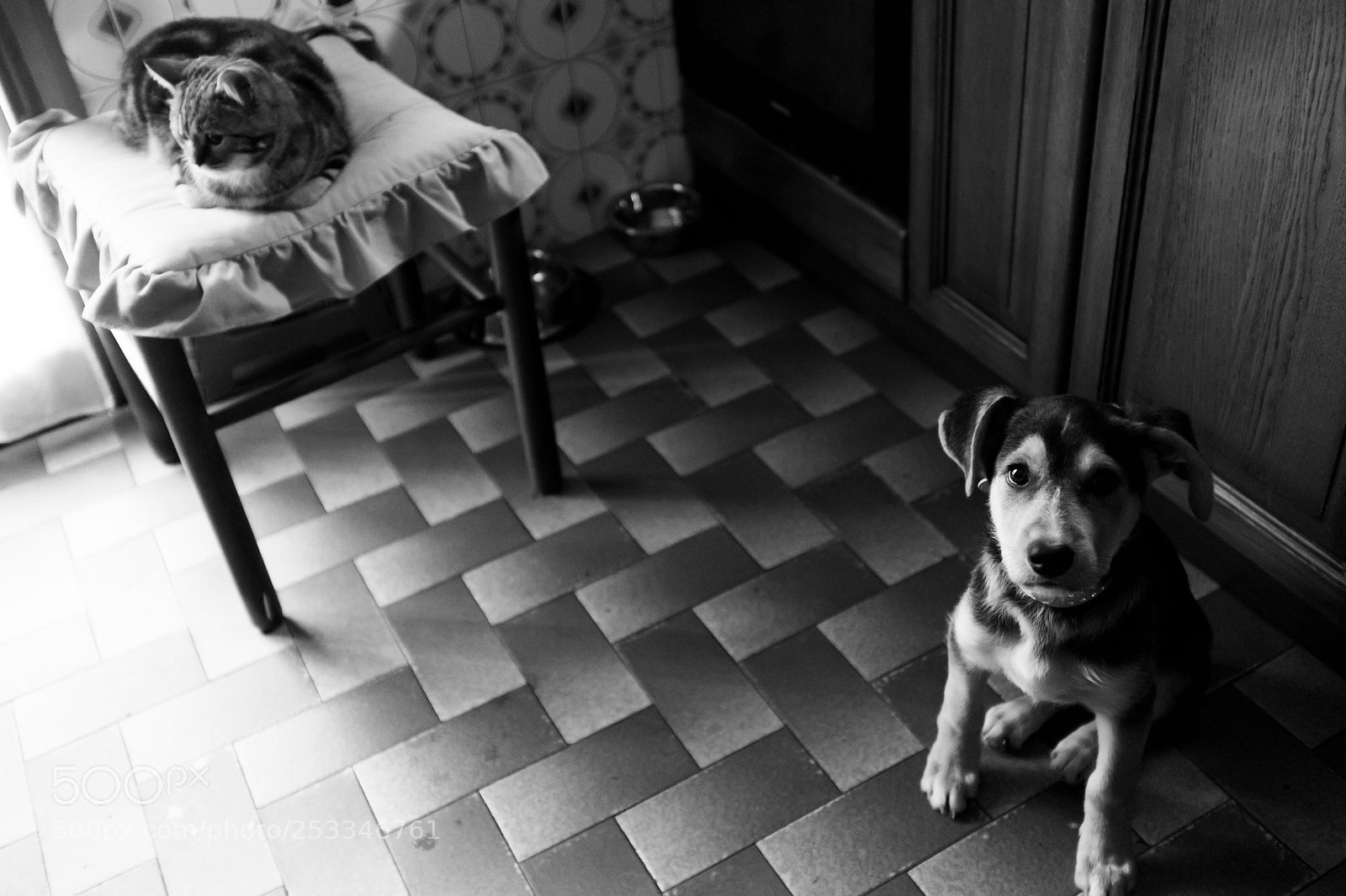 Fujifilm X100T sample photo. Room mates photography
