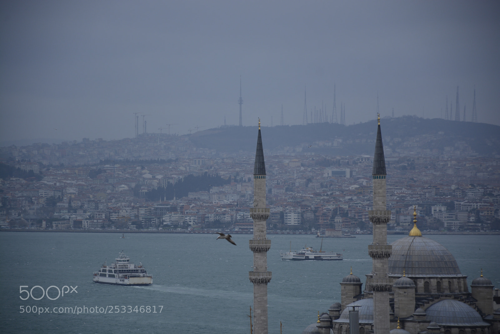 Nikon D7100 sample photo. Blue mosque photography