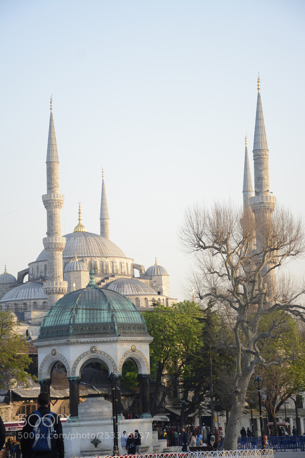 Nikon D7100 sample photo. Blue mosque center photography