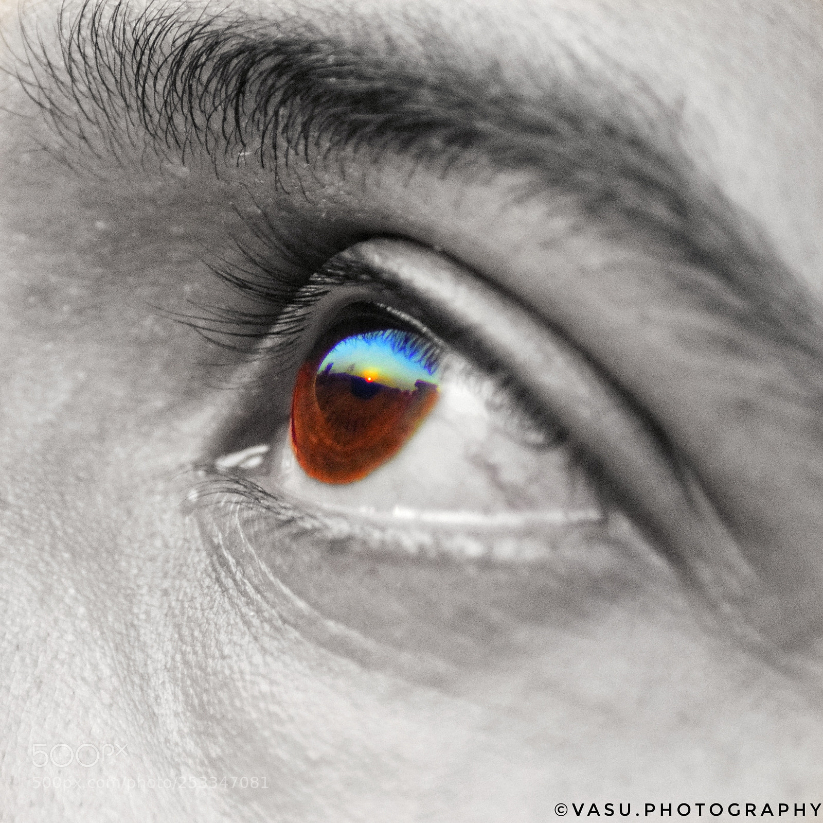 Nikon D3300 sample photo. Eyes photography