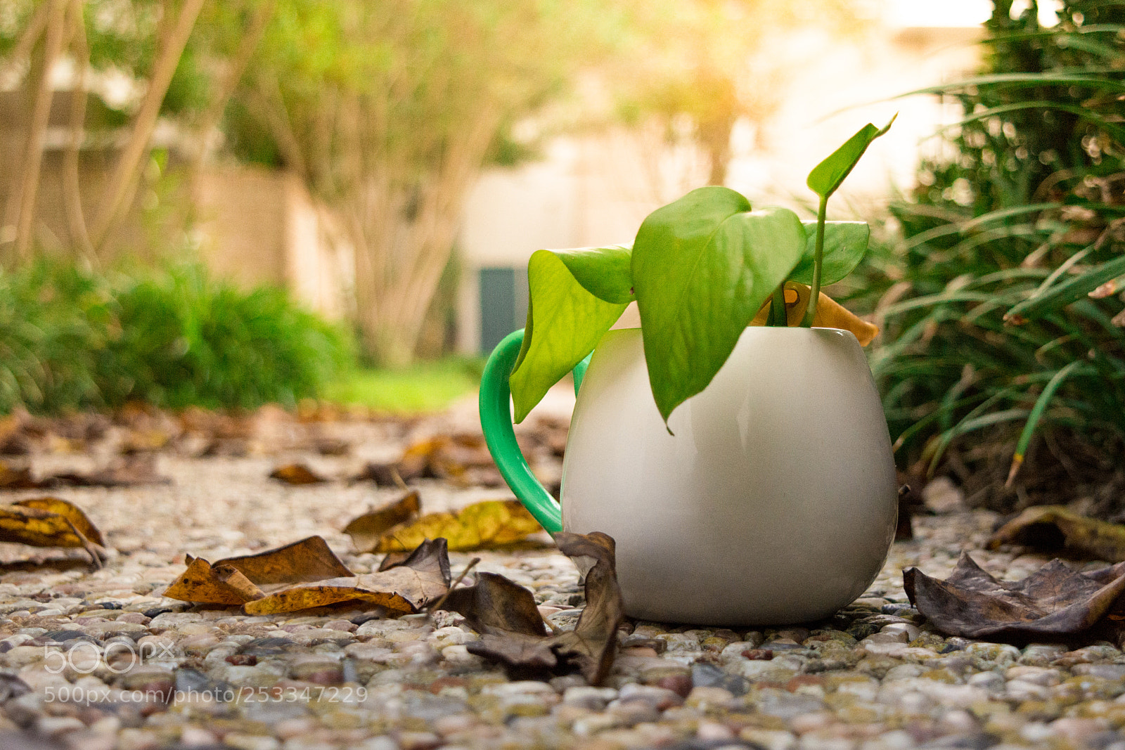 Nikon D5200 sample photo. Life, in a nutshell photography