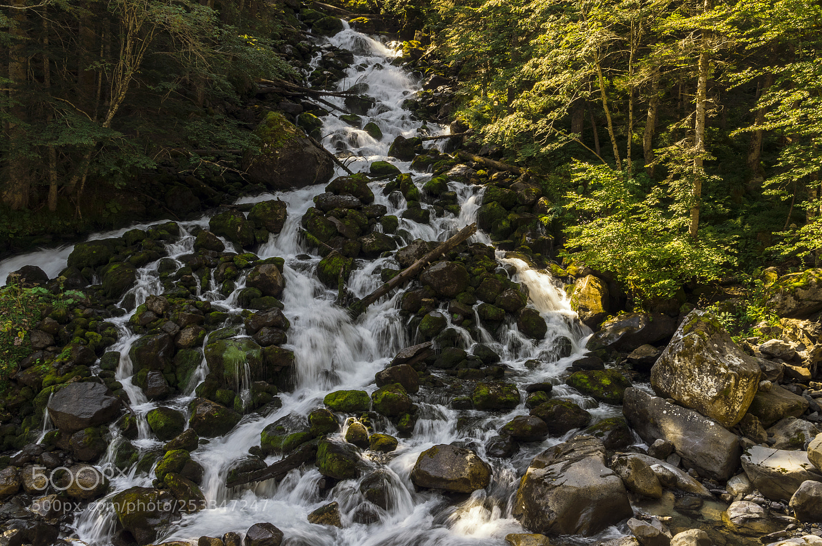 Pentax K-3 sample photo. Uelhs deth jo u photography