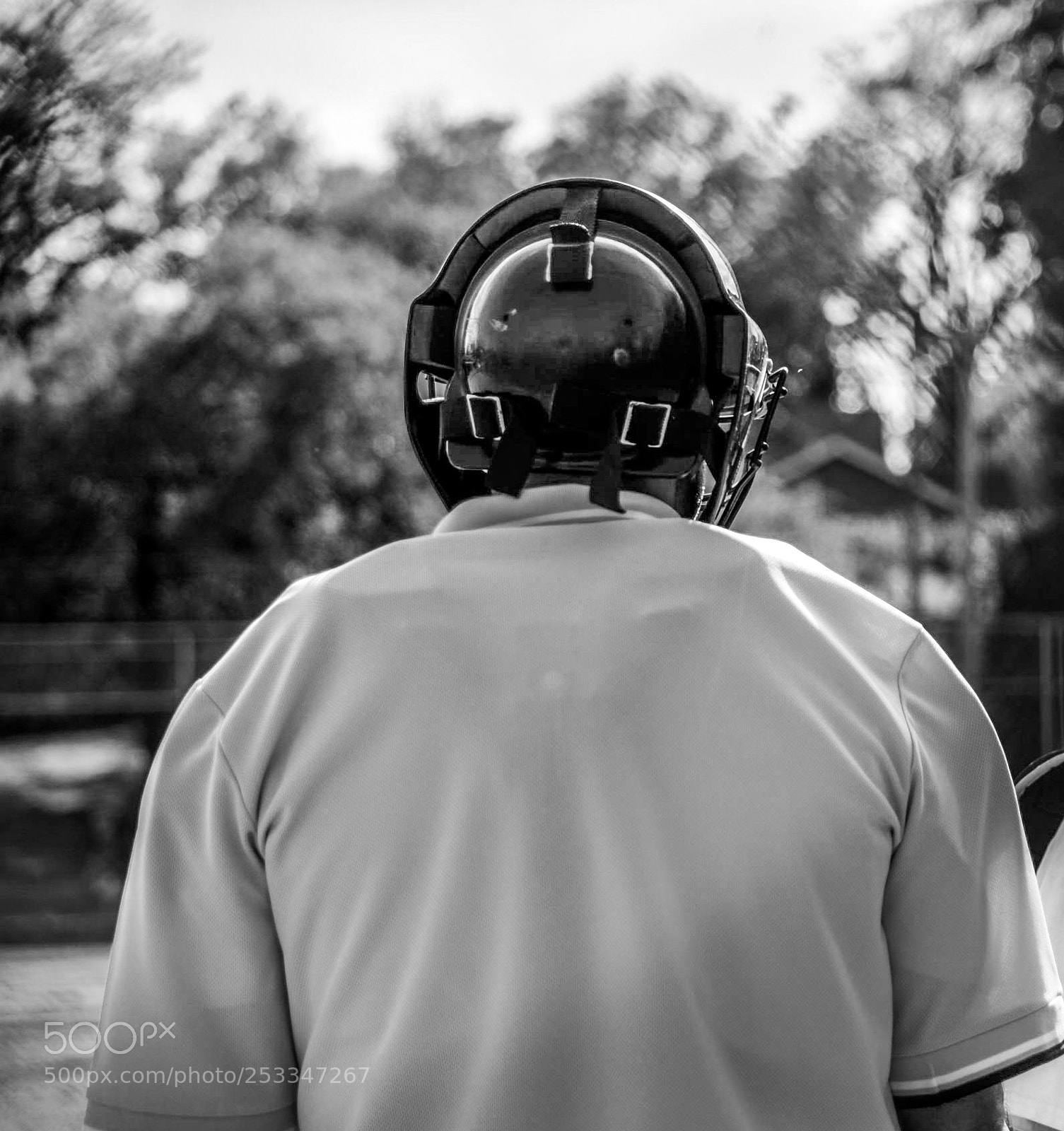 Nikon D600 sample photo. Who photography
