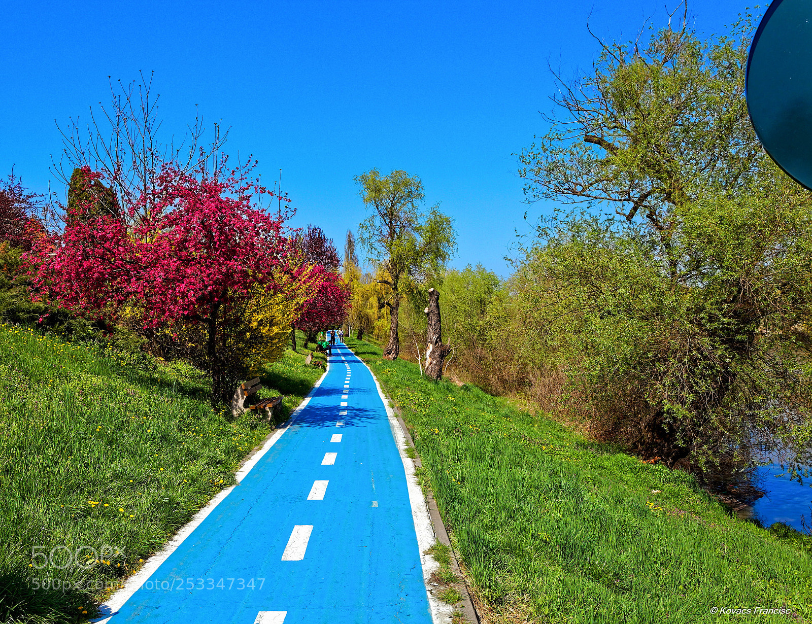 Canon EOS 5D Mark II sample photo. The spring atmosphere photography